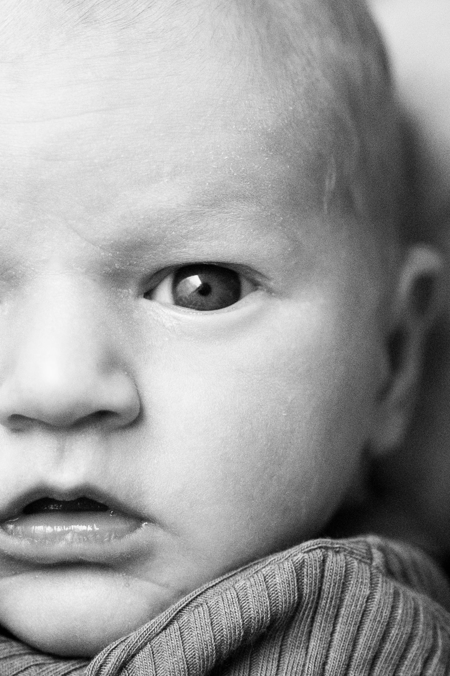Family Photography Session