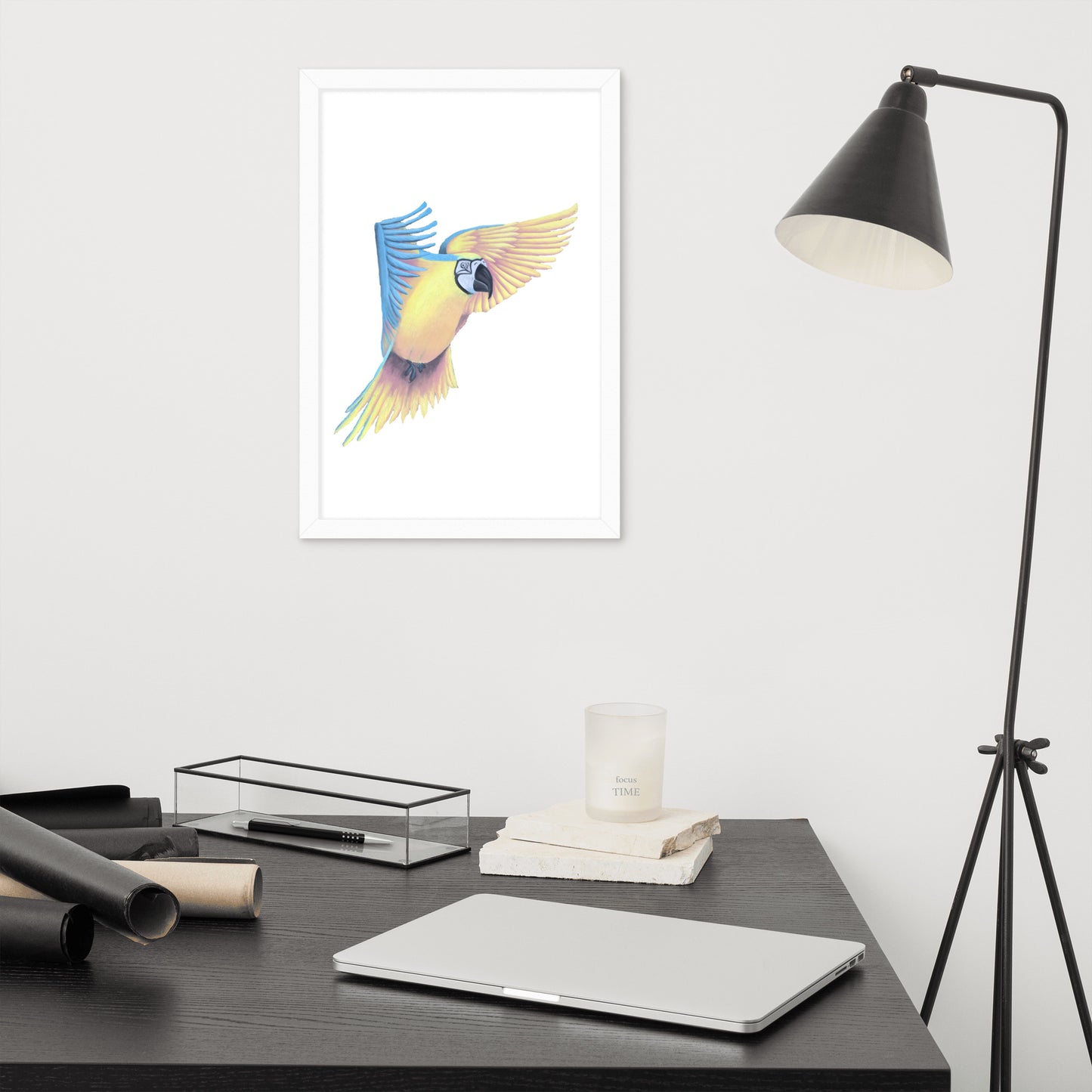 Blue Macaw Framed poster