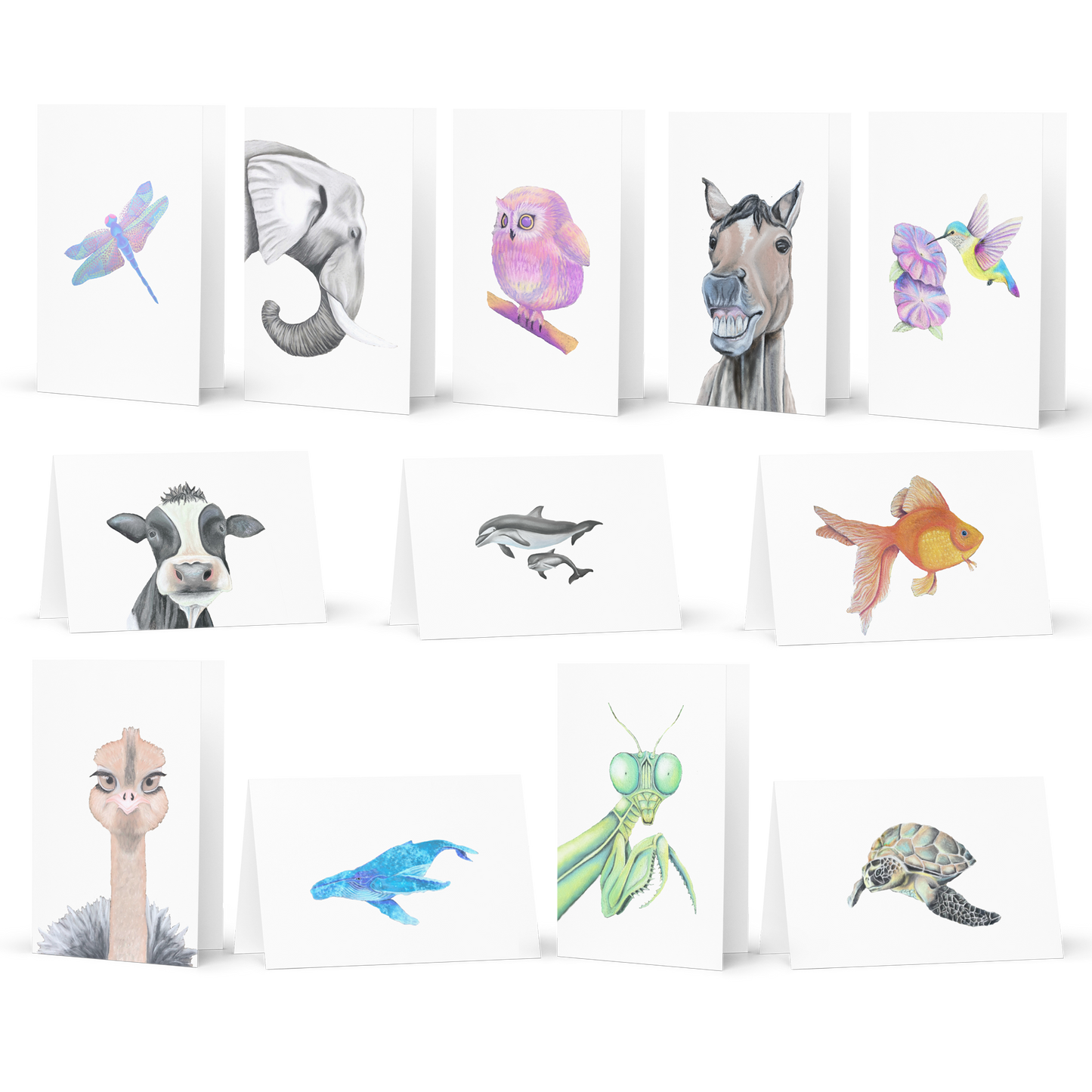 Meaningful Greeting Card Variety Pack - 12 cards