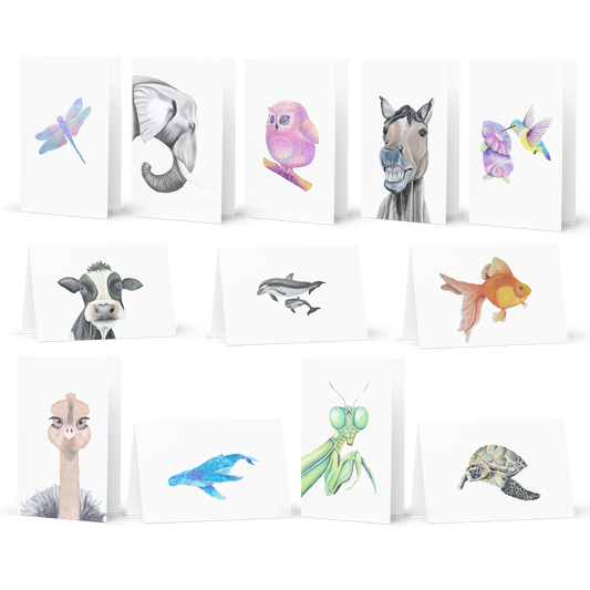 Meaningful Greeting Card Variety Pack - 12 cards